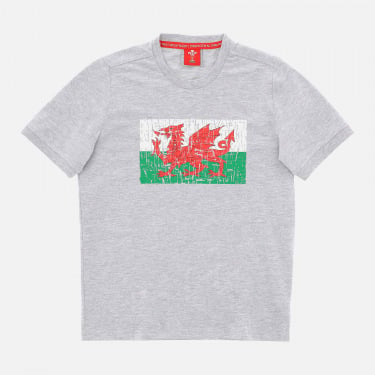Kinder-T-Shirt, melangegrau der Fanlinie Welsh Rugby 2020/21