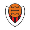 VIKINGUR FC