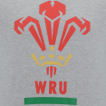 Camiseta Gris Jaspeado De La Línea Fan Gales Rugby 2020/21 thumbnail