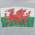 Welsh Rugby 2020/21 Fans Collection Melange Grey T-Shirt thumbnail