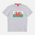 Welsh Rugby 2020/21 Fans Collection Melange Grey Children's T-Shirt thumbnail