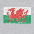 Welsh Rugby 2020/21 Fans Collection Melange Grey Children's T-Shirt thumbnail
