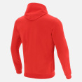 Sweatshirt Avec Capuche Ligne Supporter Du Pays De Galles Rugby 2020/21 thumbnail
