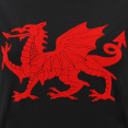 T-Shirt Da Donna Linea Fan Galles Rugby 2020/21 thumbnail
