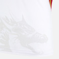 00 thumbnail