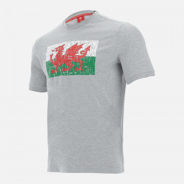 T-shirt grigia melange linea fan Galles Rugby 2020/21