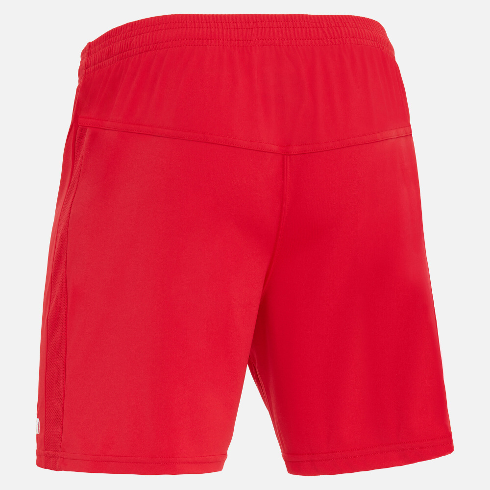 Bismuth Shorts