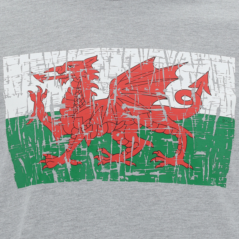 Welsh Rugby 2020/21 Fans Collection Melange Grey T-Shirt