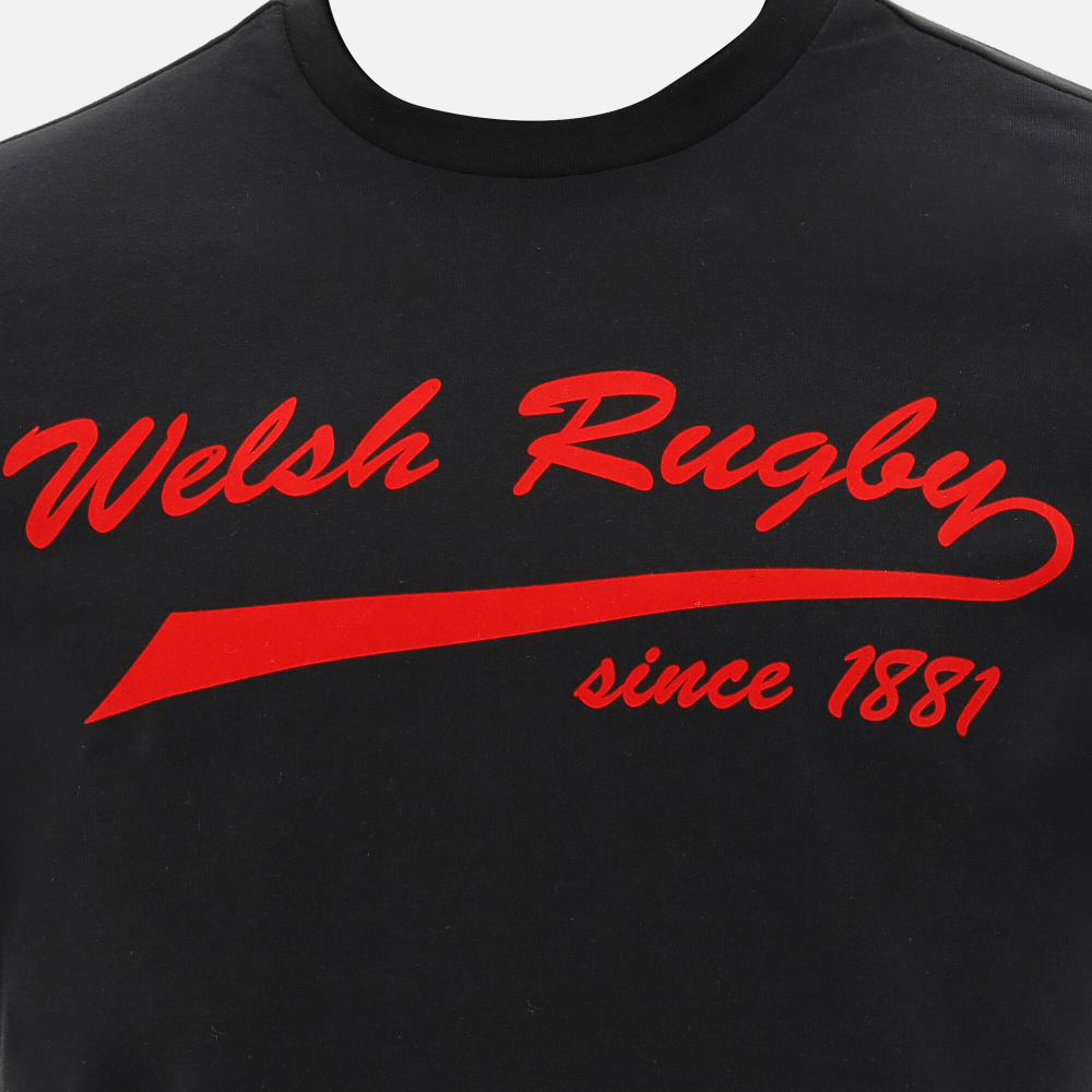 T-Shirt, Bedruckt Der Fanlinie Welsh Rugby 2020/21