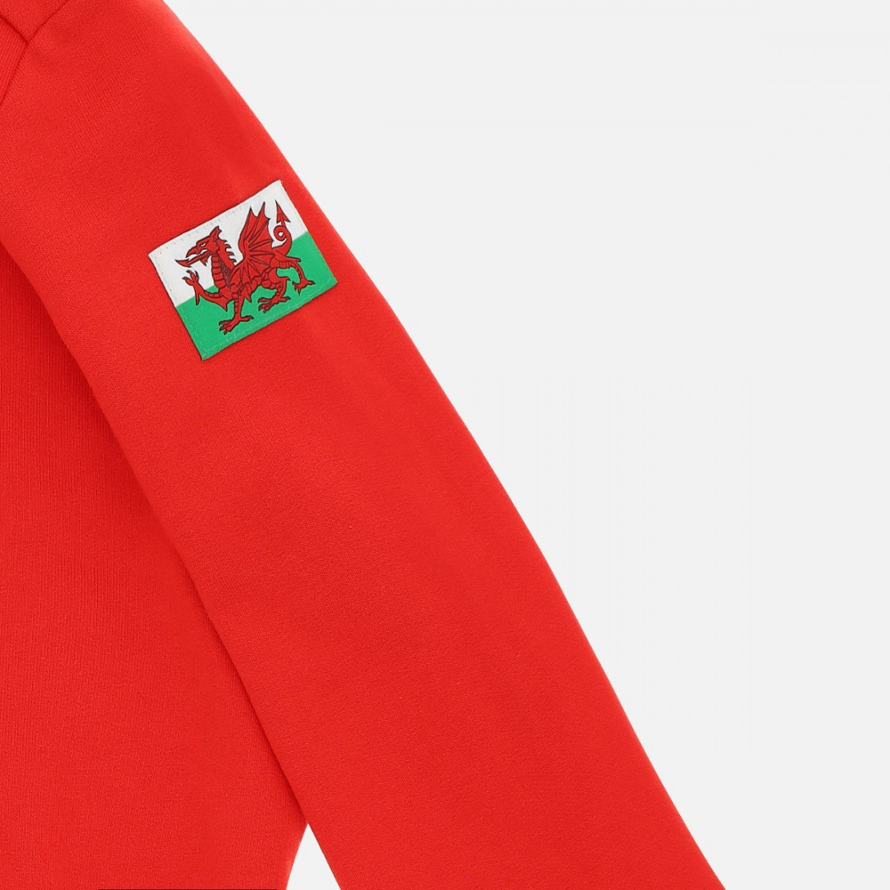 Welsh Rugby 2020/21 Fans Collection Children's Hoodie