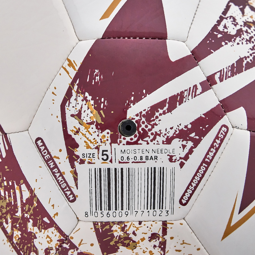 Fanion AC Reggiana - Football Italien - Clubs Italiens