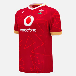 Welsh Rugby Kit Pattern Welsh Rugby 2025/26 Home Pathway Replica Shirt | Macron Technical ...