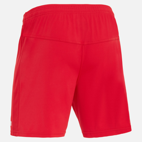 Bismuth Shorts