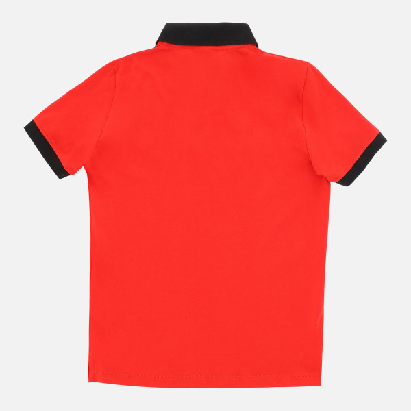 Welsh Rugby 2020/21 Piquet Cotton Children's Polo Shirt From The Fans Collection