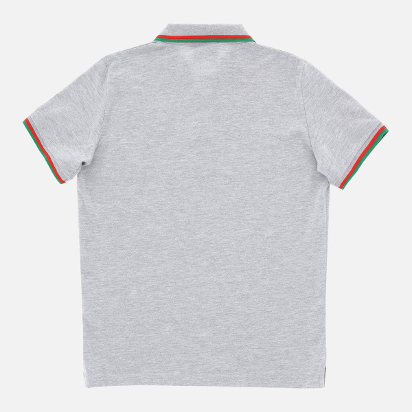Welsh Rugby 2020/21 Grey Piquet Cotton Children's Polo Shirt From The Fans Collection