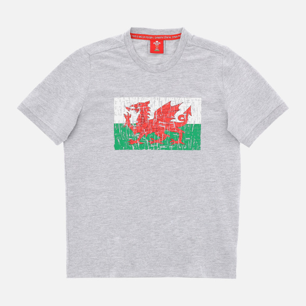 Welsh Rugby 2020/21 Fans Collection Melange Grey Children's T-Shirt